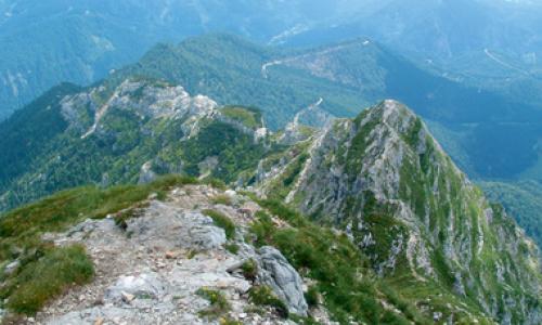 Klassiker mit Pfiff Thumbnail