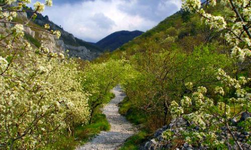 Unterwegs am Alpe-Adria-Trail – Etappe 36: Lipica - San Dorligo della Valle / Dolina / Bild: Turismo FVG Thumbnail