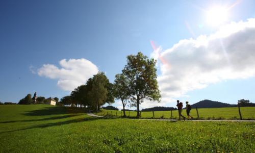 Unterwegs am Alpe-Adria-Trail – Etappe 20: Ossiach - Velden / Bild: Kärnten Werbung GmbH / AlpeAdriaTrail Thumbnail