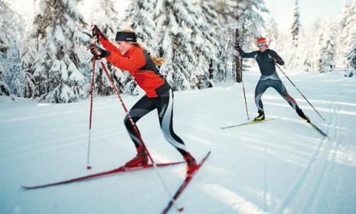 AlpeAdriaLanglaufCamp