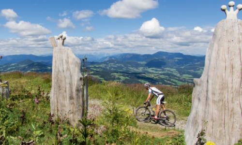 Alle Strecken der Bike-Region Graz auf einer Gratiskarte / Bild: Graz Tourismus Thumbnail