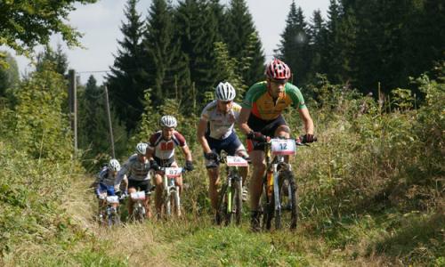 Bild: Granitbeisser Thumbnail