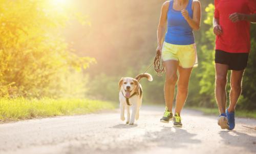 Sport mit dem besten Freund des Menschen: Laufen mit dem Hund / Bild: iStock Thumbnail
