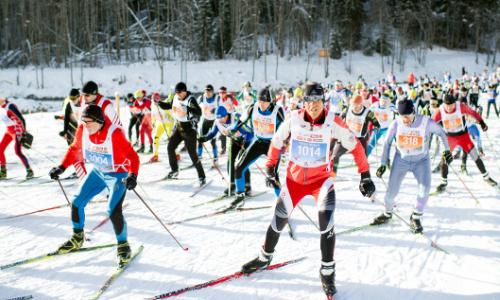 Langläufer aufgepasst: Der 42. Dolomitenlauf 2016 in Osttirol ist gesichert! / Bild: Expa Pictures Thumbnail
