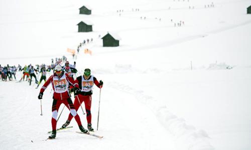 44. Dolomitenlauf - Österreichs größter Volkslanglauf / Bild: Expa Pictures Thumbnail