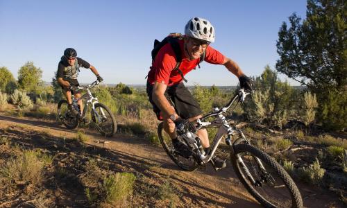 All Mountainbike Thumbnail