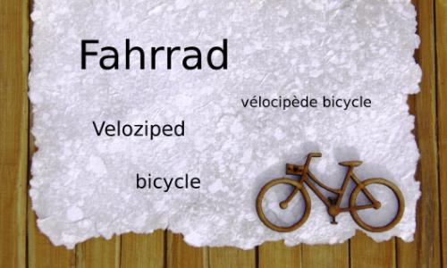 Abgedreht: 5 Fakten rund ums Rad, die du bestimmt noch nicht wusstest / Bild: iStock Thumbnail