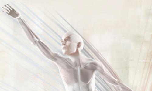 Faszinierende Faszien: Das kann der neue Fitnesstrend / Bild: Fascialnet Thumbnail