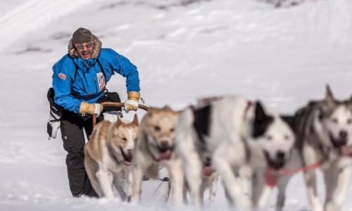 Fjällräven Polar 2015: Mit dem Hundeschlitten durch die Trundra / Bild: Fjällräven Thumbnail