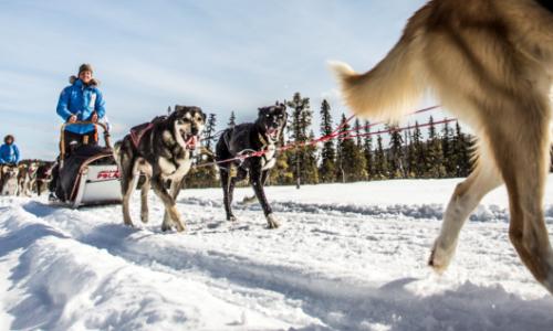Bewerbung für den Fjällräven Polar 2016 bis 10. Dezember 2015 geöffnet! / Bild: Fjällräven Thumbnail