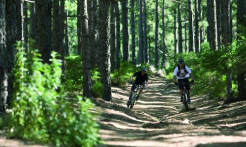 Wegerecht im Wald: Freie Fahrt für Mountainbiker! / Bild: Specialized Thumbnail