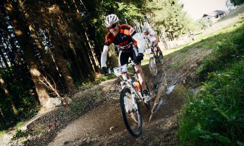 Bild: Granitbeisser Thumbnail