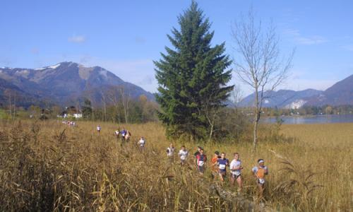 Wolgangseelauf / Thumbnail