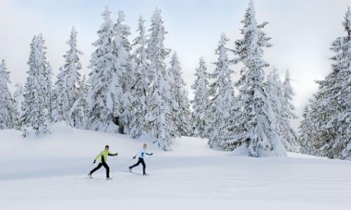Voll in der Spur: Die ersten Langlaufstrecken im Tiroler Pillerseetal sind in Betrieb / Bild: TVB Pillerseetal Thumbnail