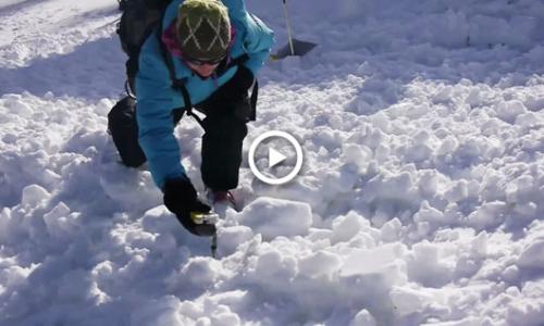 Wie funktioniert eine LVS-Suche? / Bild: Alpinschule Highlife Thumbnail