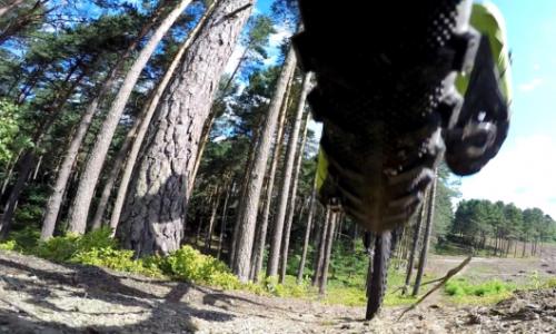 Mittendrin: Klare Worte zum Forststraßen-Streit / Bild: iStock / fire-and-ice Thumbnail