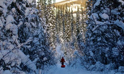 Montane Yukon Arctic Ultra 2018: Ein Ultramarathon für Verrückte? / Bild: Joe Bishop Thumbnail