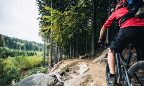 Mittendrin: Über Vorjahresmodelle und Must-haves / Bild: iStock / blyjak Thumbnail