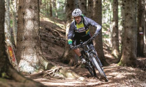 Mountainbiken auf Forststraßen: Wohin geht der Trend? / Bild: Erwin Haiden Thumbnail