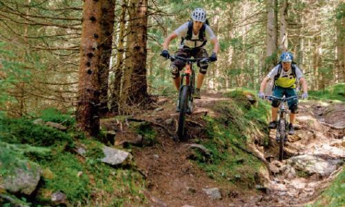MTB-Region Bad Kleinkirchheim: Almrausch mit Nocken / Bild: BRM Mathias Praegant / Bad Kleinkirchheim Thumbnail