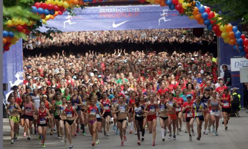 Bild: Agentur Diener