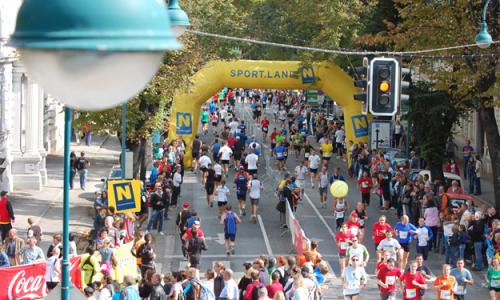 Wachaumarathon / Thumbnail