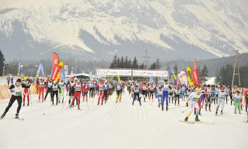 Rekordergebnis beim Ganghoferlauf