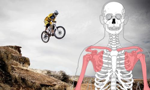 Rippenprellung beim Sport: Symptome, Dauer und Heilung / Bild: KK Thumbnail
