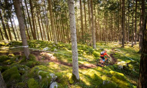 Mountainbiken in der Region Kronplatz / Bild: TVB Kronplatz / Harald Wisthaler Thumbnail