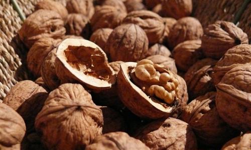 Pimp your Mind: Die 6 schlauesten Lebensmittel für kluge Köpfe / Bild: KK