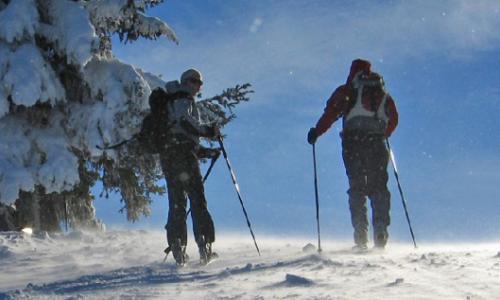 Erfolgreich umgesattelt: Skitourengeher statt Alpinskifahrer / Bild: Sattelbergalm Thumbnail