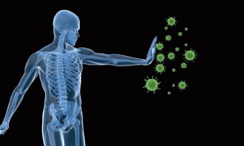 Wann Sport die Abwehrkräfte stärkt/schwächt / Bild: iStock / Eraxion Thumbnail