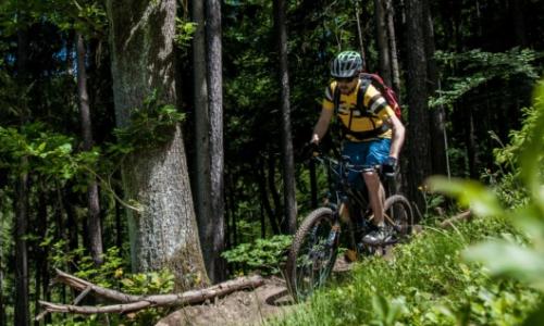 E-Mountainbike im Test: Von Skeptik und Begeisterung / Bild: Rene Sendlhofer Thumbnail