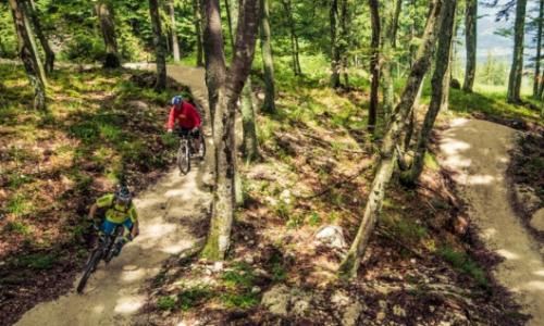 Flow Country Trail: Das Mountainbikeparadies auf der Petzen / Bild: Flow Country Trail Thumbnail