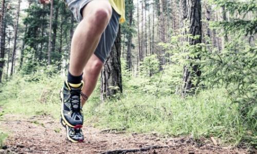 Natur statt Fitnessstudio / Bild: Dachstein Thumbnail