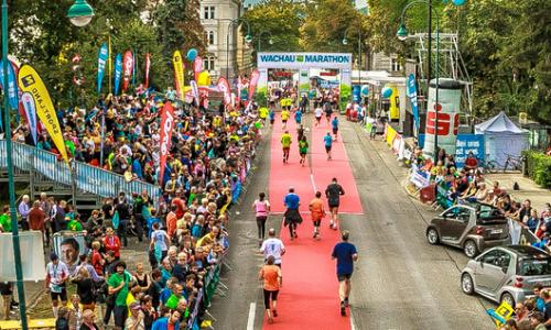 WACHAUmarathon 2014: Tempomacher powered by SPORTaktiv / Bild: WACHAUmarathon Thumbnail