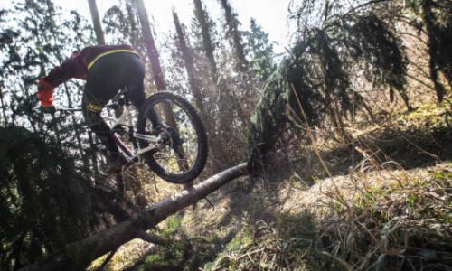 Mountainbike Tutorial: So lernst du den Bunny Hop / Bild: Thomas Schweighofer Thumbnail