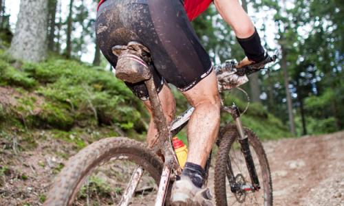 Bild: Granitbeisser Thumbnail