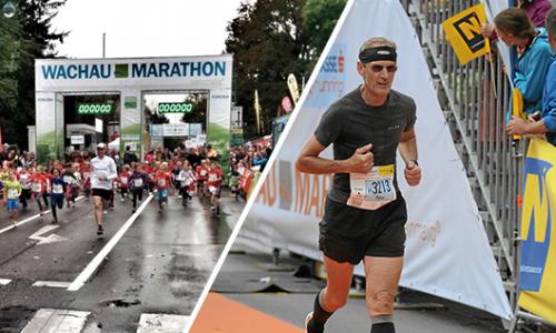 20 Mal WACHAUmarathon: Rekordteilnehmer über den Reiz des weinmaligen Laufs / Bild: Sophie Kirchner (links) / Foto Viertbauer (rechts) Thumbnail