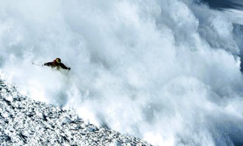 Bild: Shutterstock / Andrew Arseev Thumbnail