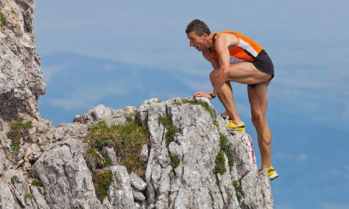 Wuestenfuchs siegt neunten