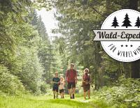Wiener Alpen Wald-Expedition
