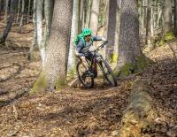 Die Specialized-Legende: Das neue Stumpjumper