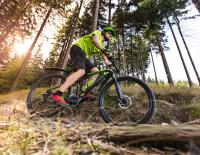 Besser Biken: Worauf achten bei der MTB-Fahrtechnik