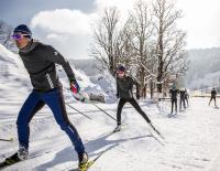 Salomon Skiletics © Hersteller / Fischer Fischer Skiletics