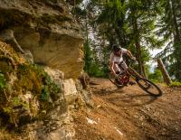 So findest du das Mountainbike, das wirklich zu dir passt