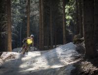 Wexl Trails: Neue Projekte für noch mehr Action am Bike
