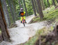 Wie Kinder Mountainbiken lernen © Fotograf / Wexltrails Wie Kinder Mountainbiken lernen