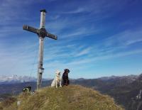 Unterwegs mit Wauwau: 5 Fragen zum Wandern mit Hund