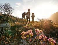 Warum sich ein Wanderurlaub mehr lohnt als ein Urlaub am Strand